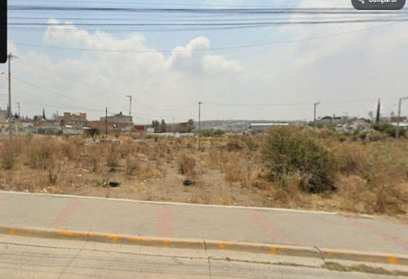 VENTA DE TERRENO SAUCILLO DE LA JOYA