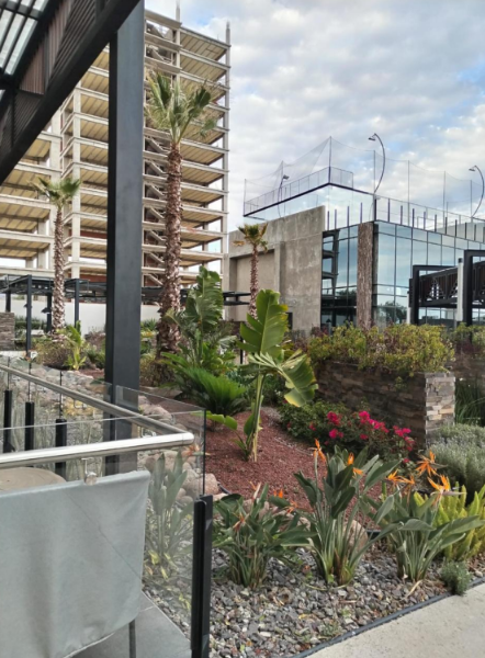 DEPARTAMENTO EN RENTA TORRE NYMPHE