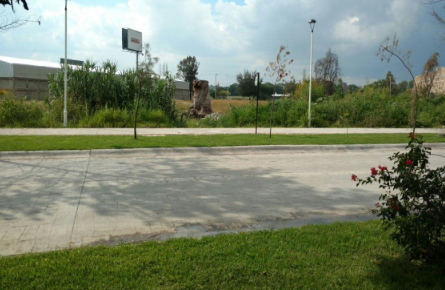 VENTA DE TERRENO SAN FRANCISCO DEL RINCÓN