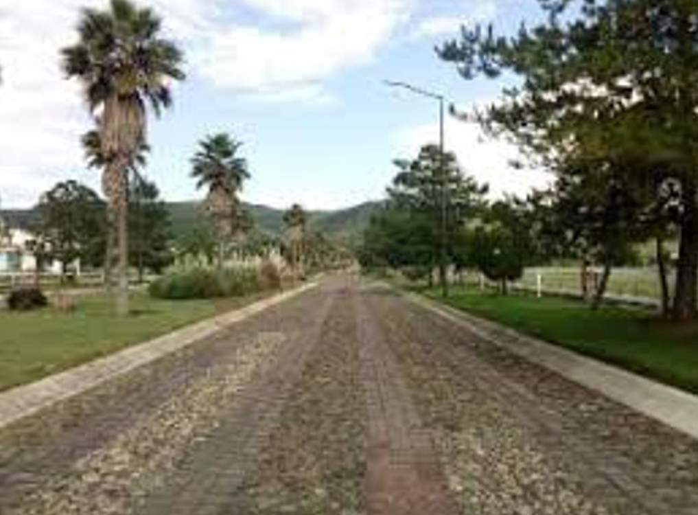 Venta de Terreno Fracc. Valle de Los Reyes, Carretera Lagos de m. Zona Norte de León