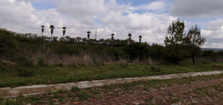 VENTA TERRENOS EN FRACC. VALLE DE LOS REYES