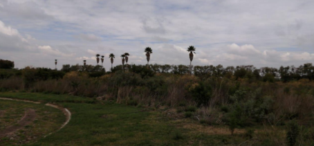 VENTA TERRENOS EN FRACC. VALLE DE LOS REYES