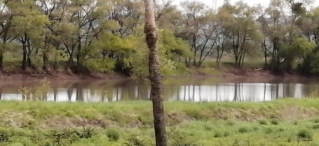 VENTA TERRENOS EN FRACC. VALLE DE LOS REYES