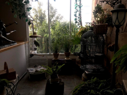 VENTA O RENTA DE CASA FRACCIONAMIENTO EL REFUGIO