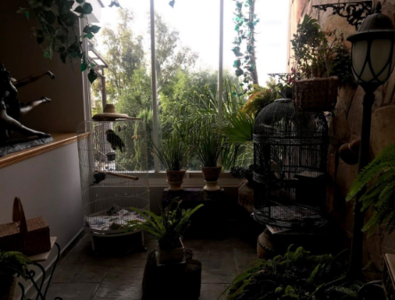 VENTA O RENTA DE CASA FRACCIONAMIENTO EL REFUGIO