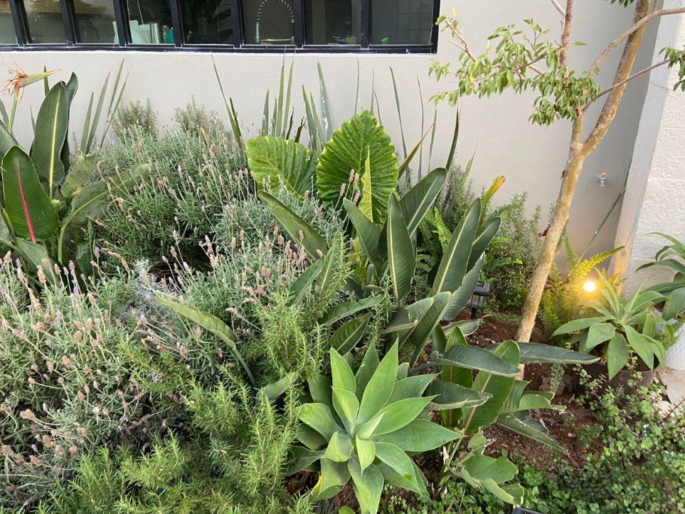 Venta de Residencia Fracc. Pìrules Residencia / 4 Habitaciones / León Zona Norte