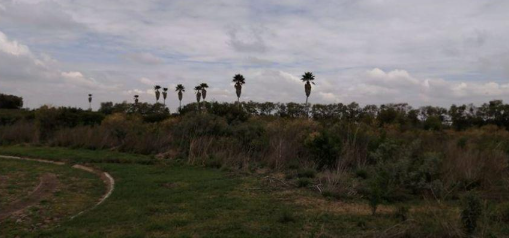 Terreno en Venta Fracc. Valle de Los Reyes / León Zona Norte / Salida Lagos de Moreno, Jal.