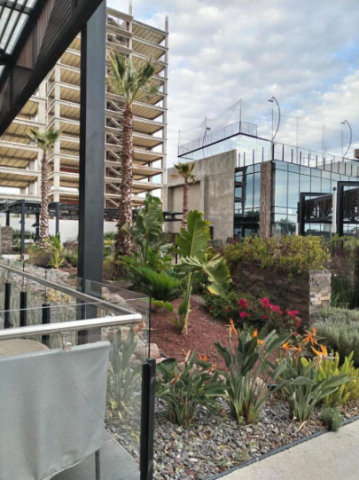 Venta de Departamento Torre Nymphe / Amenidades, Alberca, Gimnasio, Cancha de Pádel / León Zona Sur