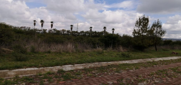 Venta de Terreno Fracc. Valle de Los Reyes / Residencial Campestre/león Zona Norte, Salida Cd. Lagos