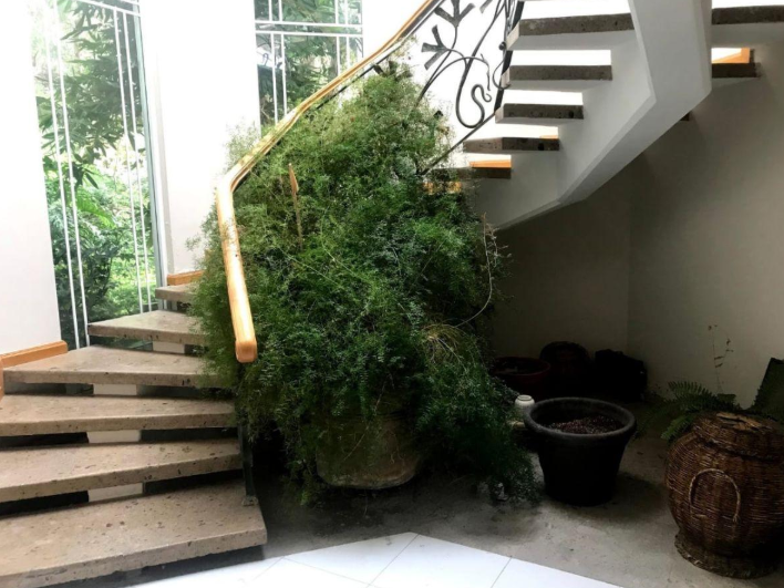 Renta o Venta de Residencia Fracc. El Refugio/ León Zona Norte